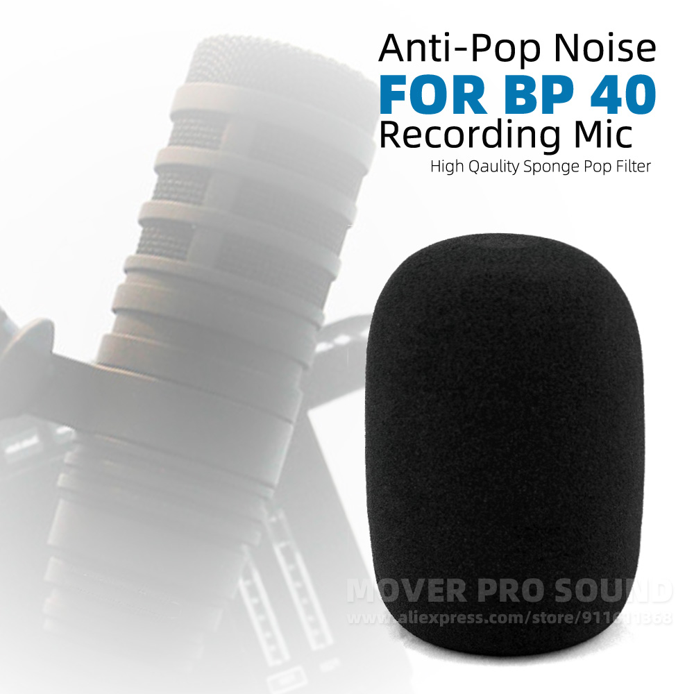 Recording Pop Filter - Ses Technica BP40 BP 40 kalkanı