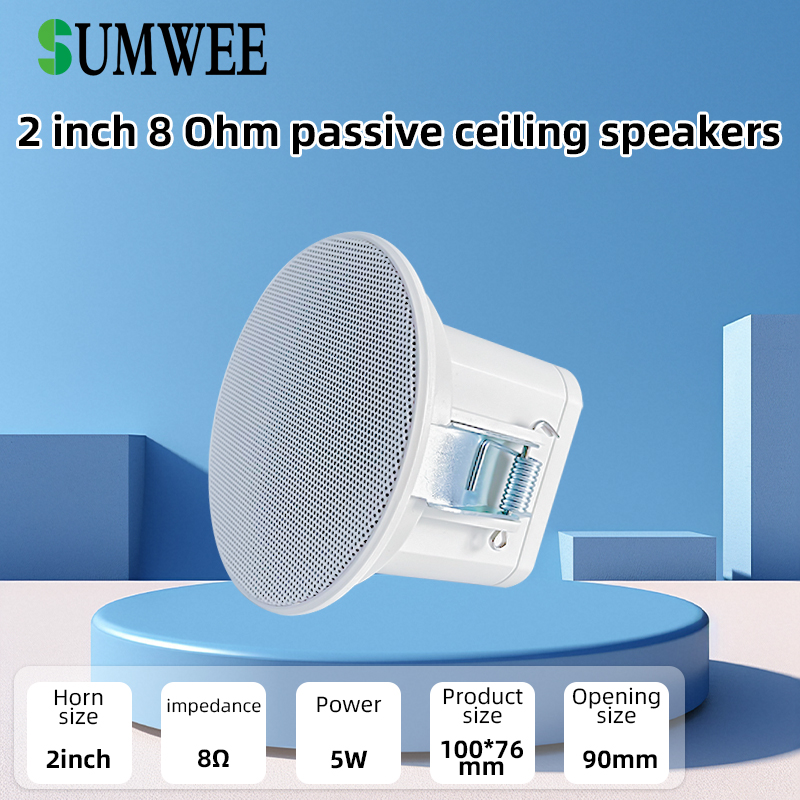 Audio Music System For Home - 2 inç Mini 8 Ohm Tavan