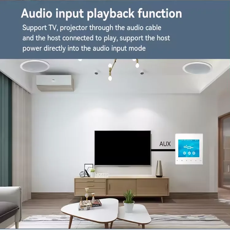 Ev Bluetooth Duvar Amplifikatö - Audio Music System For Home incelemesi ve fiyatı