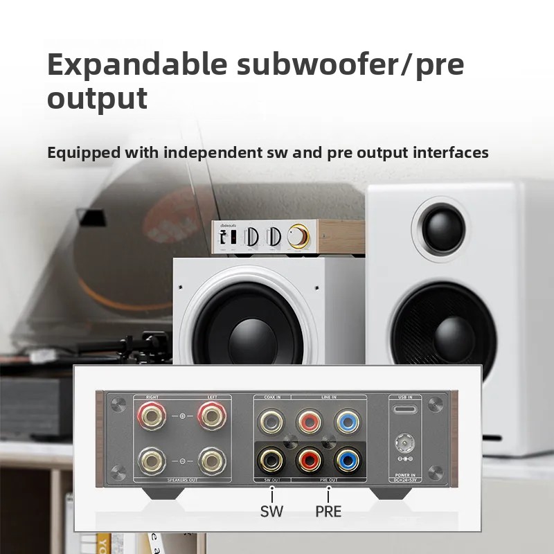 FiiO Horizon Level 1 Yüksek Gü - Audio Music System For Home incelemesi ve fiyatı