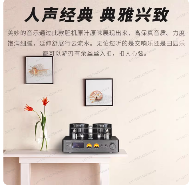 220V 400W * 2 Yüksek Kaliteli  - Audio Music Youtube incelemesi ve fiyatı