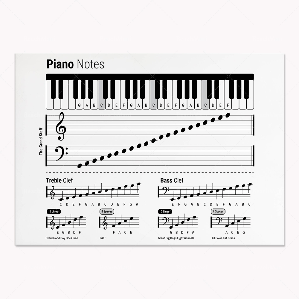 Gitar teorisi, piyano, ses spe - Audio Into Music Sheet incelemesi ve fiyatı