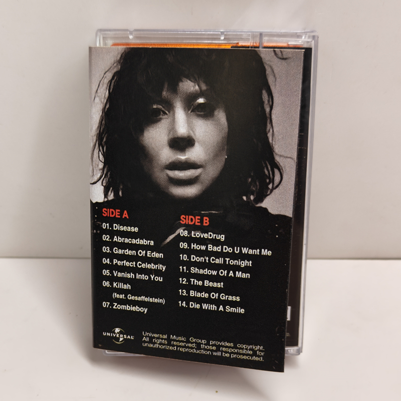 Yeni Pop Lady Gaga Şöhret Müzi - Audio Music Recorder incelemesi ve fiyatı